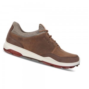 Tenis Golf Ecco Mens Biom Hybrid 3 Gtx Hombre Marrom | México 360JPQ