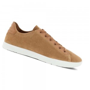 Zapatos Casual Ecco Collin 2.0 Hombre Marrom | México 442DFM